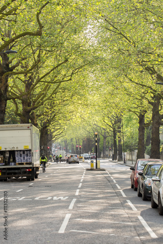 London, England. On one of the main arterial roads into London, in Spring, the canopy of the trees lights up with the early sunshine making an ugly environment glow.