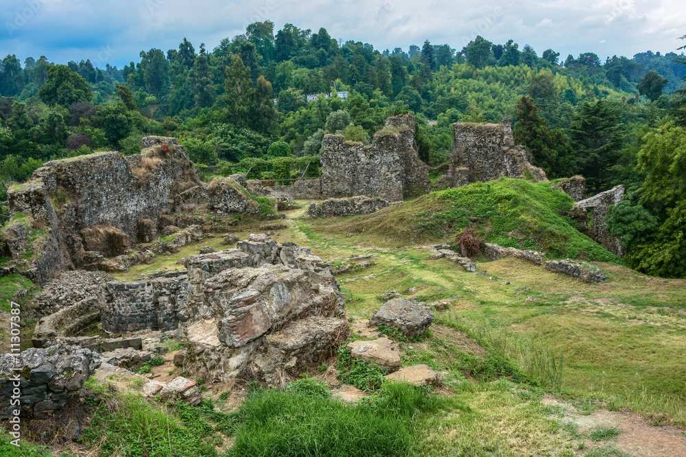 Развалены крепости Петра (Грузия)