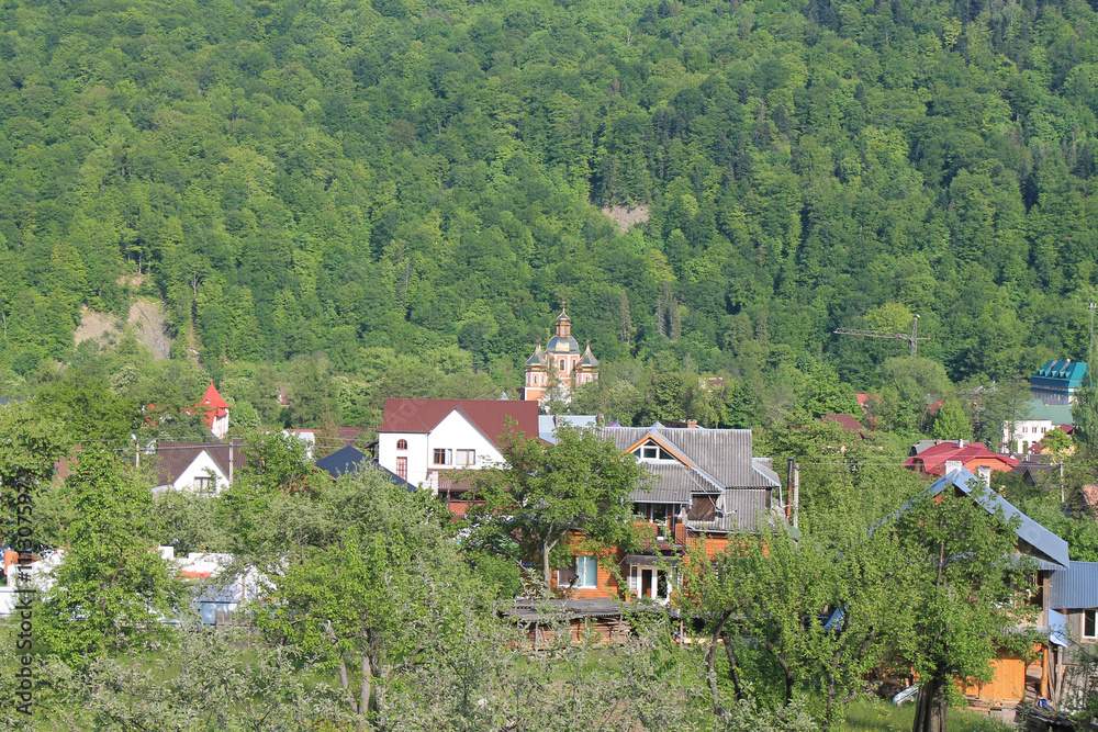 Green village in mountains