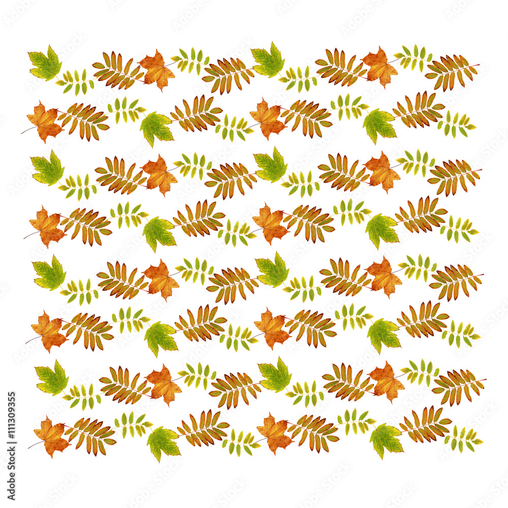 Obraz premium Autumn seamless pattern with dry leaves
