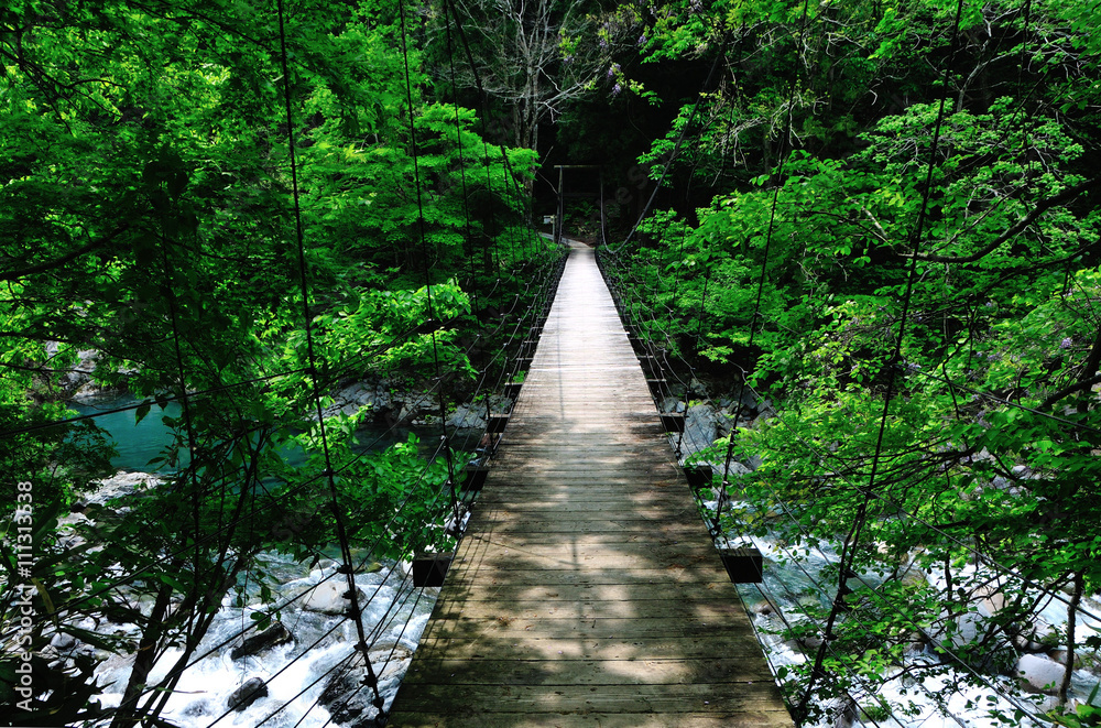 新潟県津南町　新緑の三倉の吊り橋