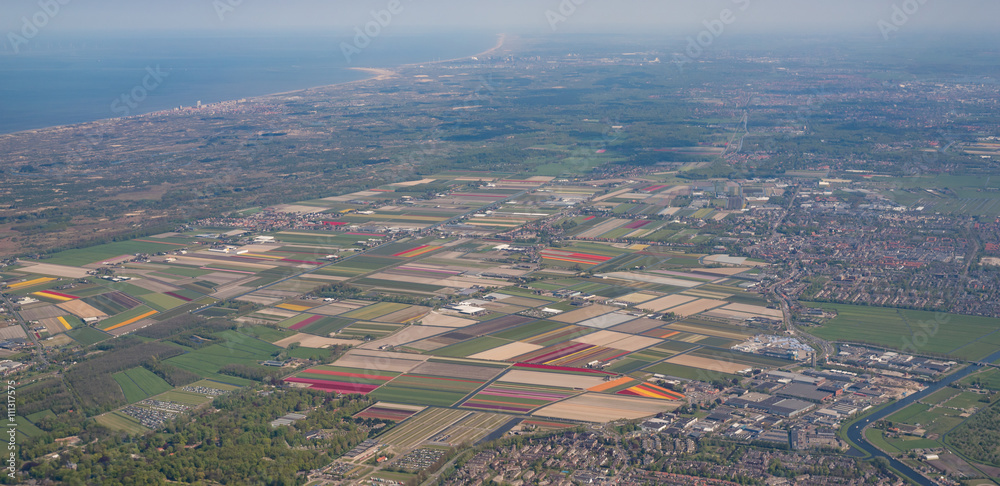 Bunte Tulpenfelder bei Amsterdam, Niederlande