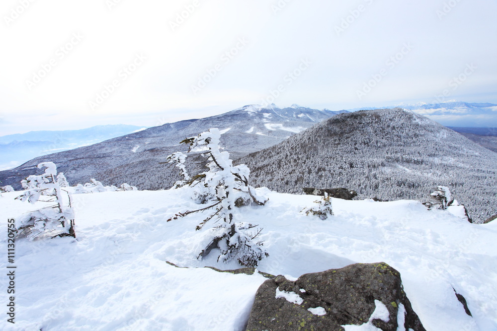 縞枯山展望台から観る茶臼山と南八ヶ岳