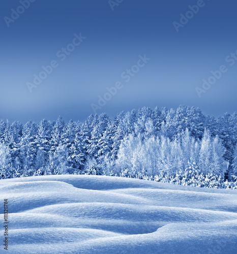 Winter forest. Winter landscape. Snow covered trees © alenalihacheva