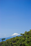 Senbonmatsubara and Mount Fuji