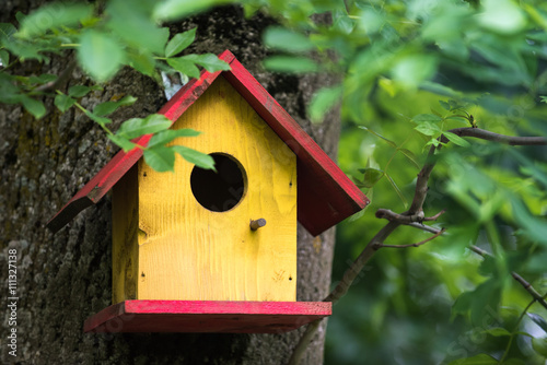 Colorful bird house in the forest