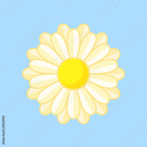 Fototapeta Naklejka Na Ścianę i Meble -  White Flower