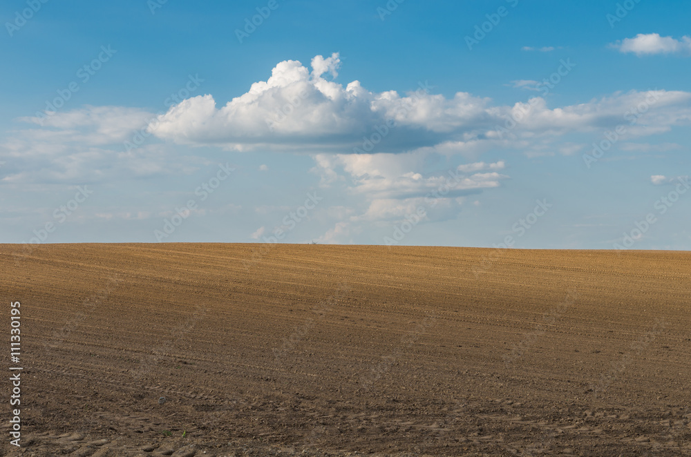 Plowed brown field under blue sky Plowed brown field under blue sky