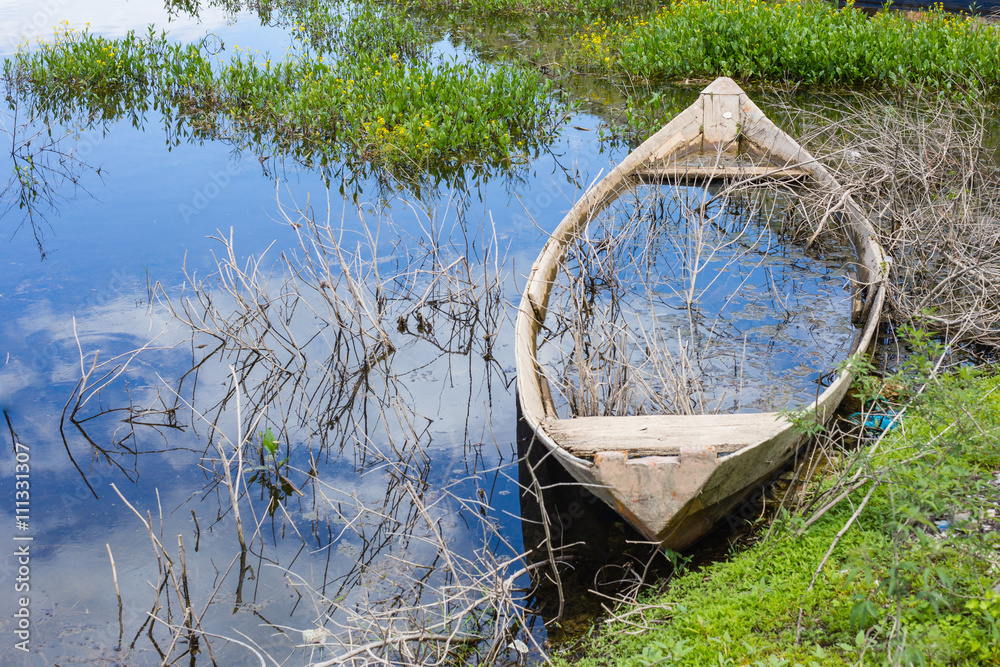 Sunk boat on the lake of Scadar in Montenegro Sunk boat on the lake of Scadar in Montenegro