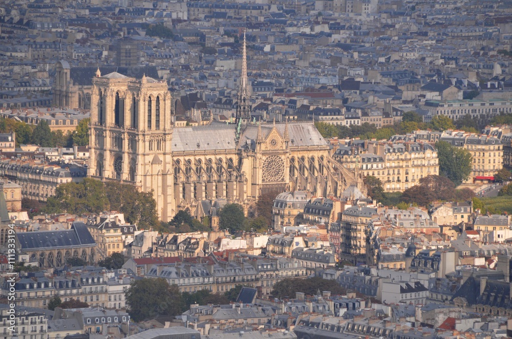 Aerial view of Notre-Dame