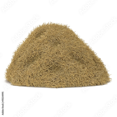 Tableau sur toile Hay pile isolated on a white background as an agriculture farm and farming symbol of harvest time with dried grass straw as a mountain of dried grass haystack