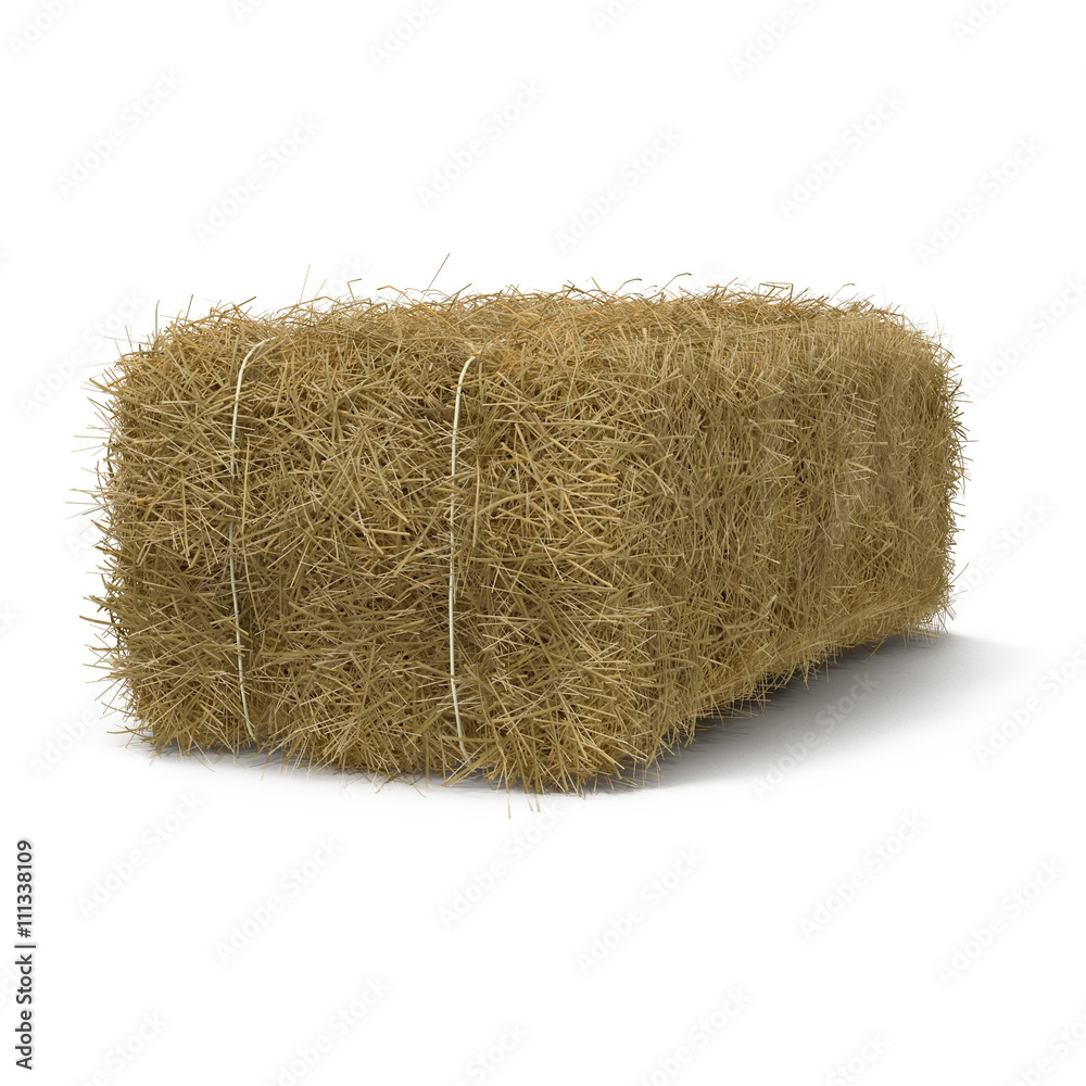 Hay pile isolated on a white background as an agriculture farm and farming  symbol of harvest time with dried grass straw as a mountain of dried grass  haystack. 3D Illustration Illustration Stock