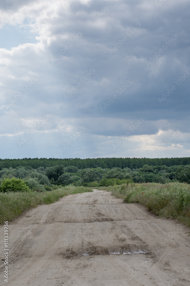 Landscape green grass soil road blue sky Landscape green grass soil road blue sky