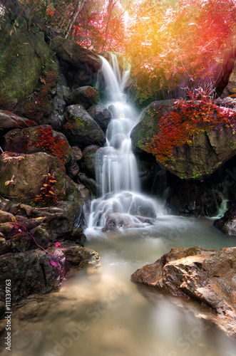 Fototapeta Naklejka Na Ścianę i Meble -  beautiful deep forest waterfall in Nakornnayok, Thailand