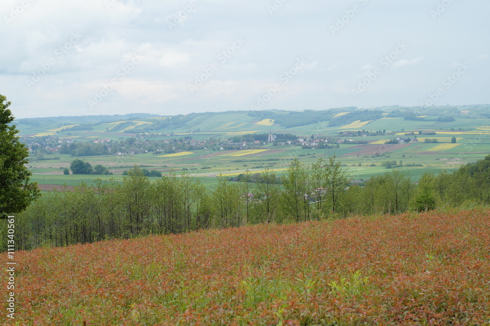 Roztocze widok na Gorajec