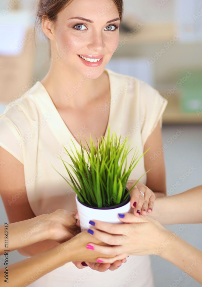Closeup Of Businesspeople Hand Holding GrassTogether Closeup Of Businesspeople Hand Holding GrassTogether