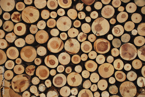 Holz Quersachnitt Baum Bäüme Stapel Hintergrund braun Jahresringe Ast Äste Holzwand Rohstoff Pellet erneuerbare Energie 