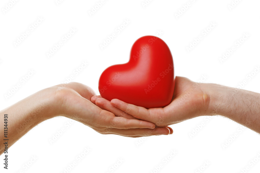 Two homosexuals holding heart isolated on white