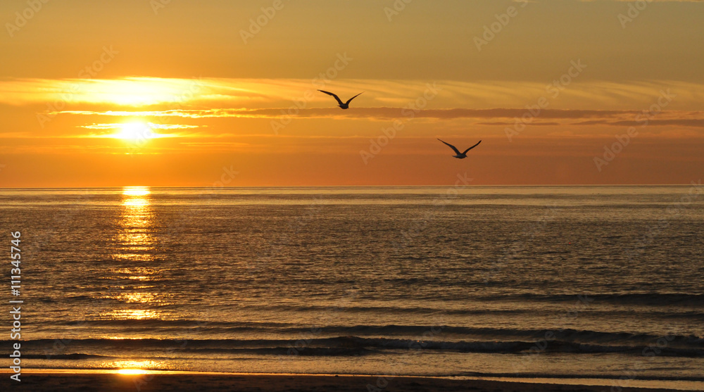 Möwen fliegen im Sonnenuntergang über das Meer