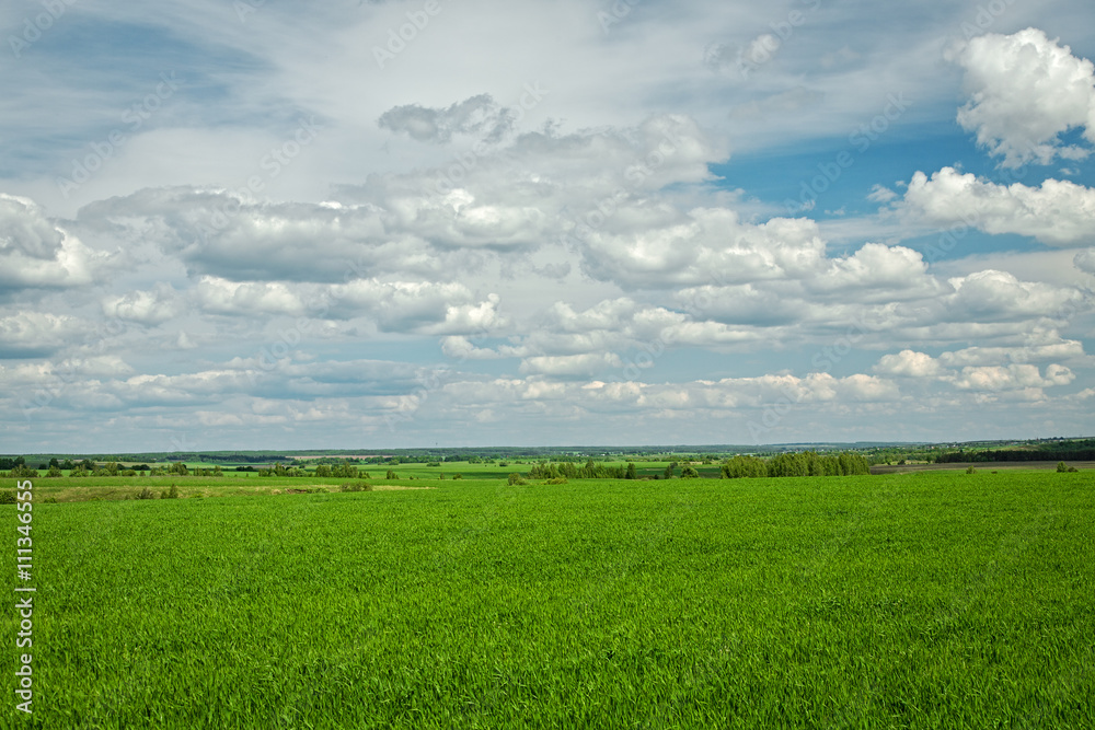 Obraz premium Green field and clouds