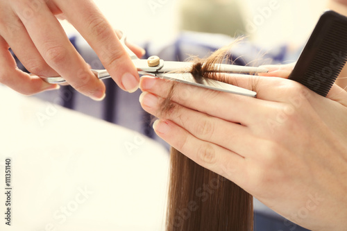 Professional hairdresser cutting clients hair