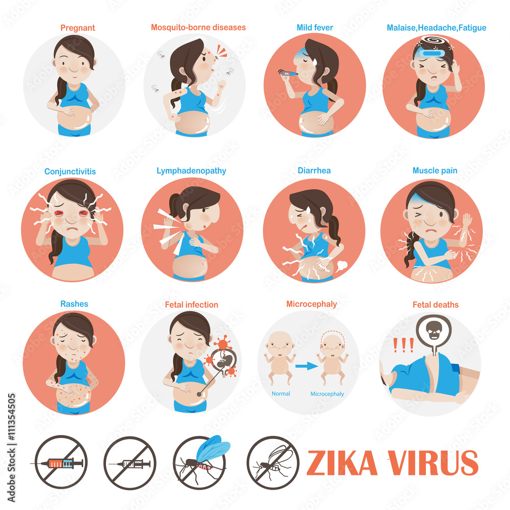 zika virus/Pregnant patients zika virus cartoon in the circle Info Graphics.Vector illustration icon zika virus/Pregnant patients zika virus cartoon in the circle Info Graphics.Vector illustration icon