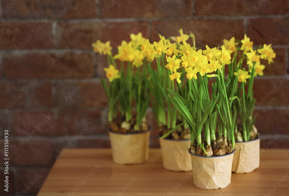 Beautiful narcissus on the table on brick wall background