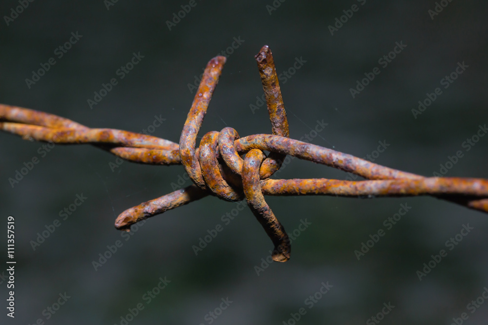 Rusty barbed wire in Thailand farm
Rusty barbed wire in Thailand farm