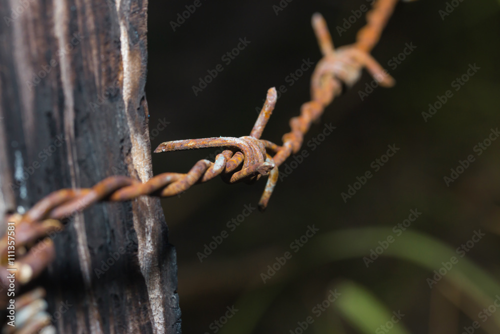 Rusty barbed wire in Thailand farm
