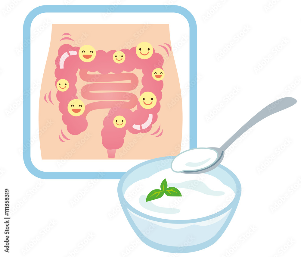 健康な腸 乳酸菌 ヨーグルト Stock イラスト Adobe Stock