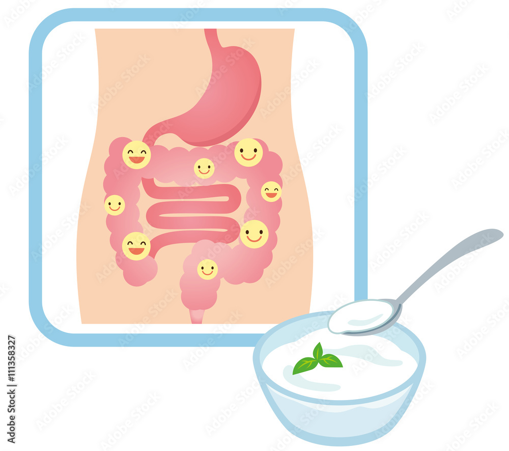 健康な腸 乳酸菌 ヨーグルト Stock イラスト Adobe Stock