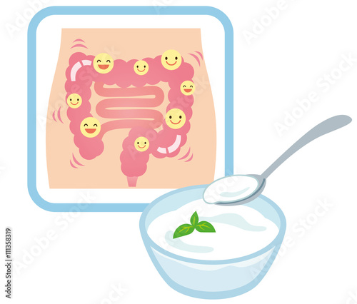 健康な腸 乳酸菌 ヨーグルト Stock イラスト Adobe Stock 健康な腸 乳酸菌 ヨーグルト Stock イラスト Adobe Stock