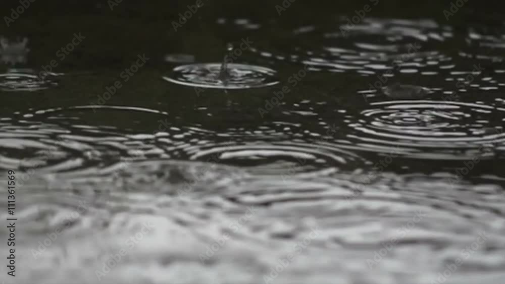 Rain drops dripping in a puddle - slow motion
Rain drops dripping in a puddle - slow motion