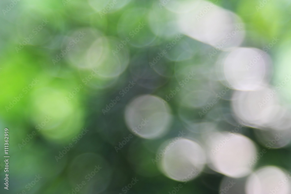 Obraz premium outdoors bokeh background