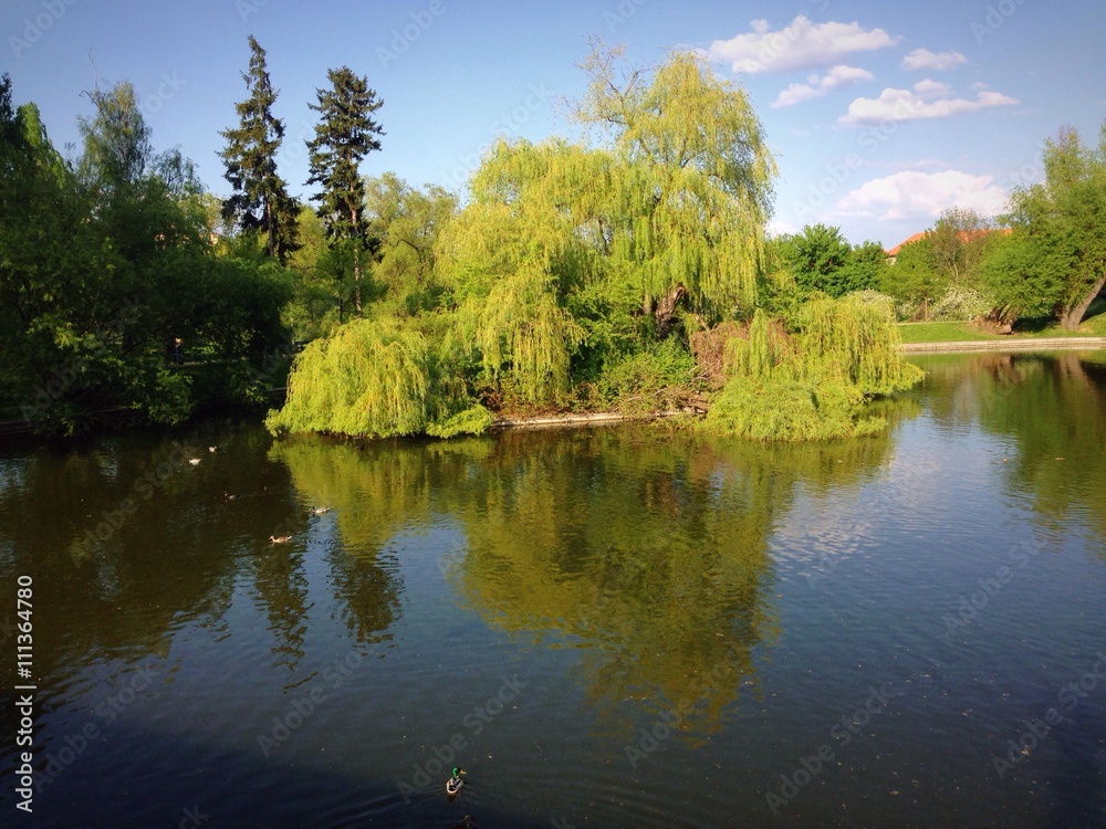 Fototapeta premium Small lake near St. Marketa monastery in Prague