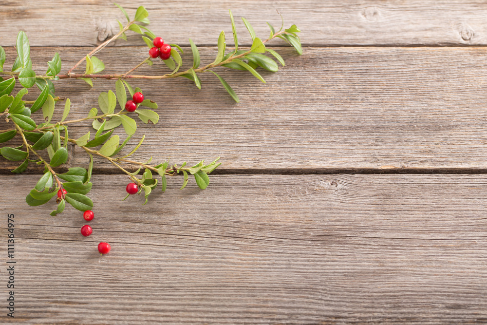 cowberry on wooden background cowberry on wooden background