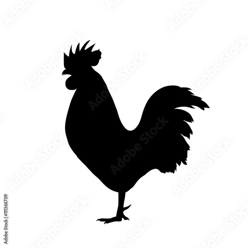 Obraz na płótnie Vector silhouette of a cock black color