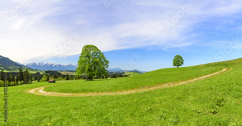 Landschaft am ostallgäuer Alpenrand