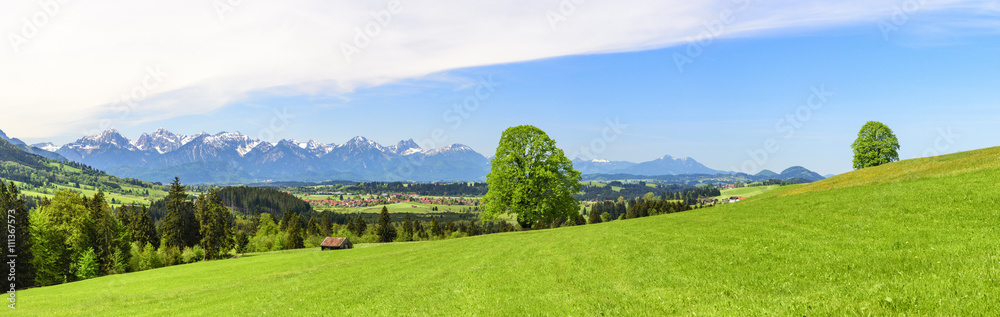 Landschaft am Alpenrand
