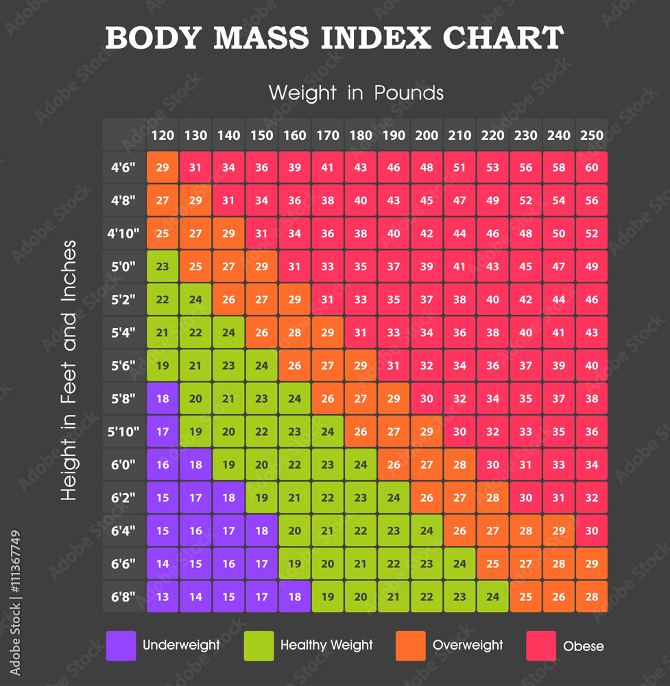 Premium Vector Body Mass Index Bmi Chart