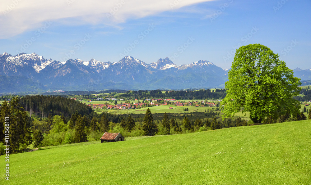 idyllische Landschaft im östlichen Allgäu