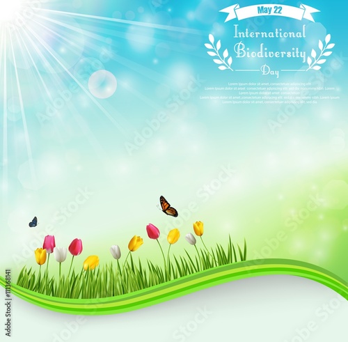 Biodiversity meadow background with tulip flowers and butterflies