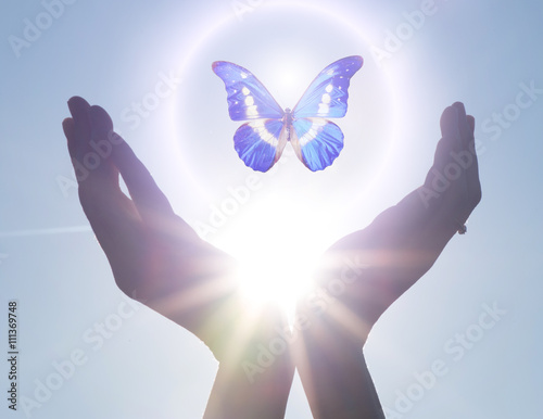 Photography hands free butterfly