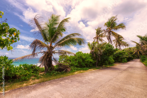 Road in tropical island, Seychelles