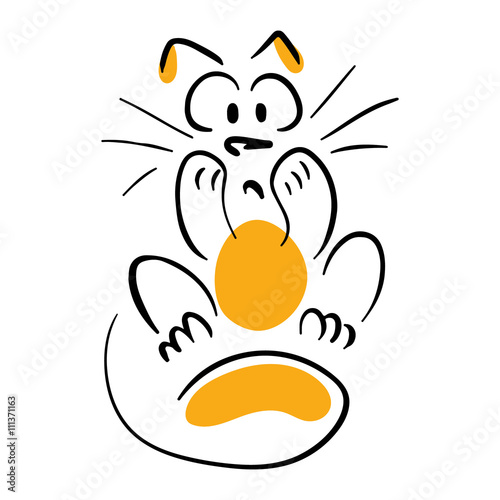 Stunned cat
