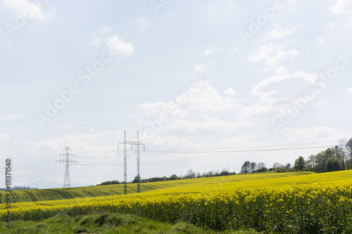 metal flagpole with management in rapeseed field