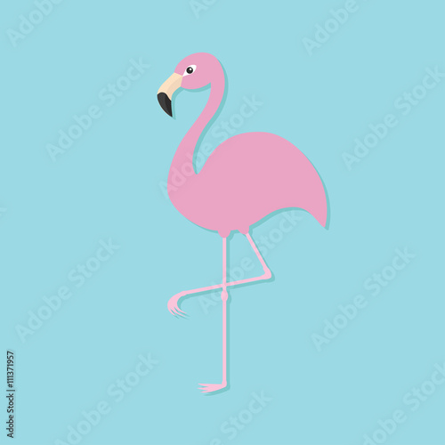Pink flamingo on one leg. Exotic tropical bird. Zoo animal collection. Cute cartoon character. Decoration element. Flat design. Blue background. Isolated. © worldofvector