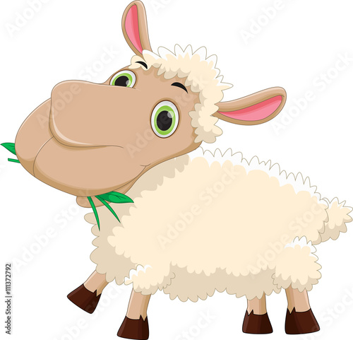 funny cartoon sheep eating grass