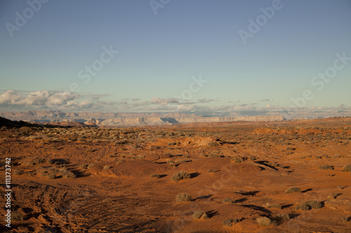 The Arizona stone desert landscape