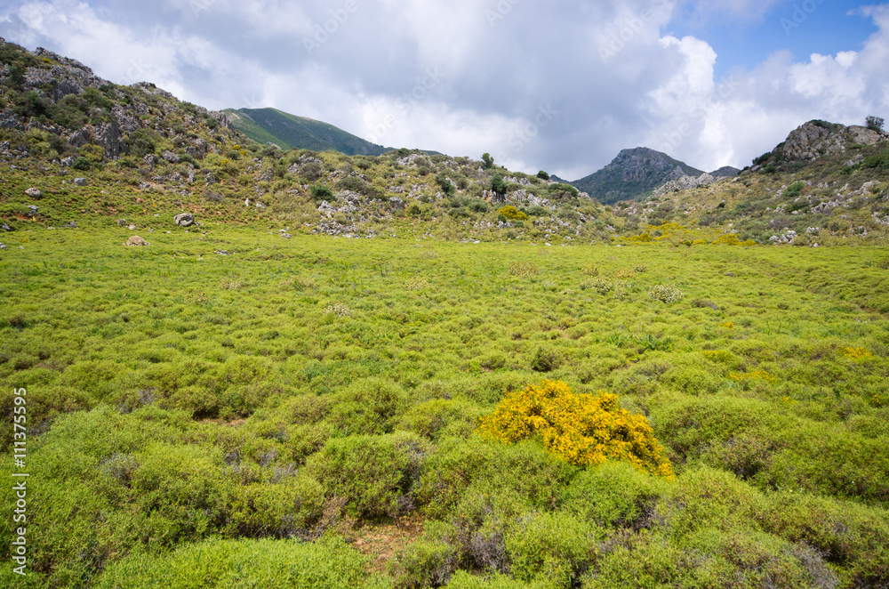 Pastures in the hills of Crete island, Greece - obrazy, fototapety, plakaty 